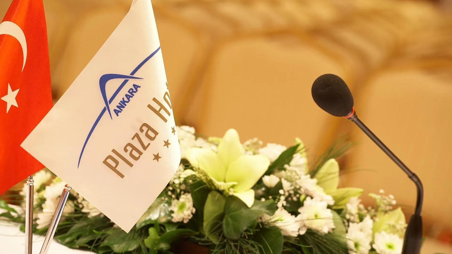 ****  Ankara Plaza Hotel Turkey